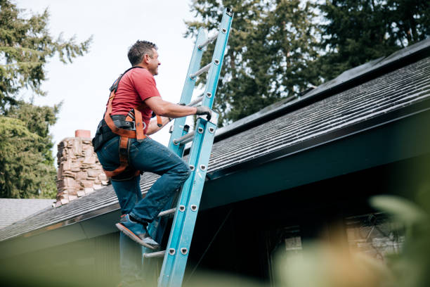 Best Roof Moss and Algae Removal  in Maggie Valley, NC